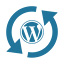 WordPress Updates Services